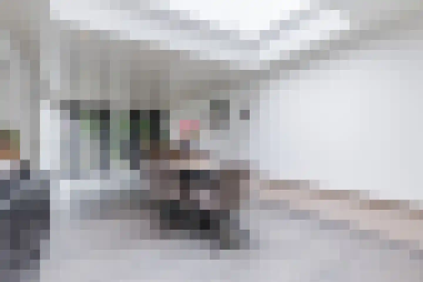 Molenheide 25 Soerendonk thumbnail 13