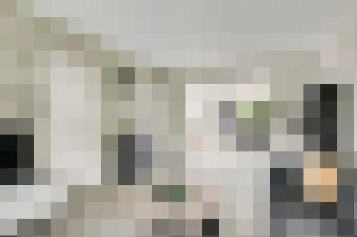 Molenheide 25 Soerendonk thumbnail 15