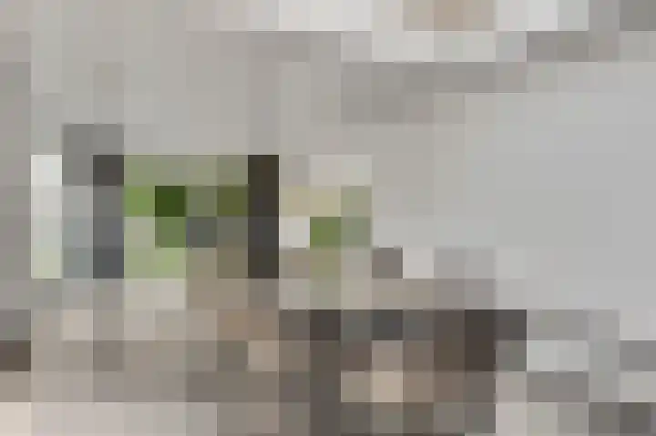 Molenheide 25 Soerendonk thumbnail 16