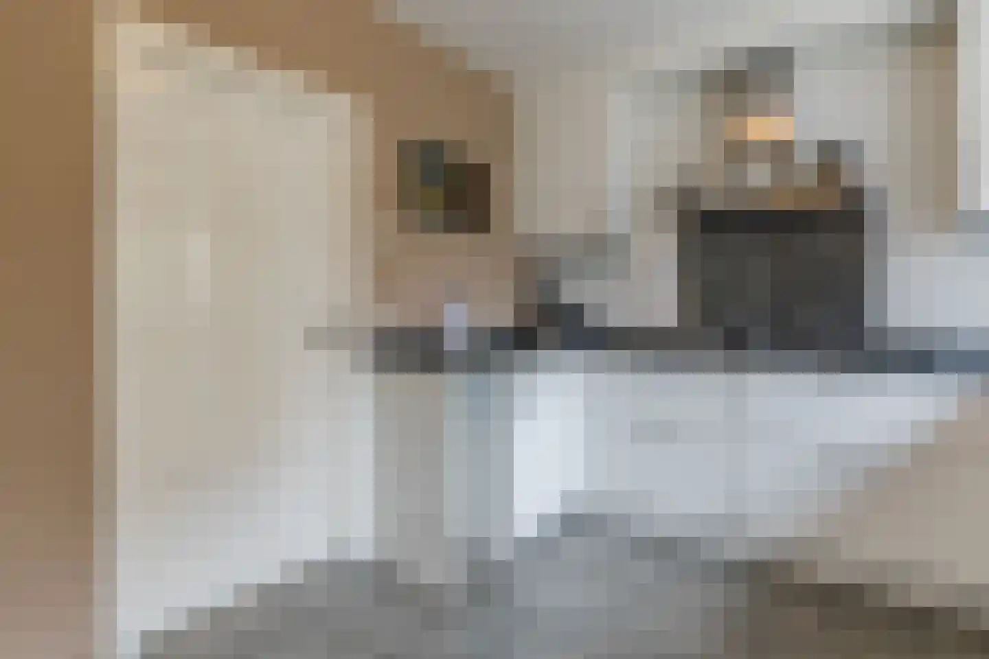 Molenheide 25 Soerendonk thumbnail 17