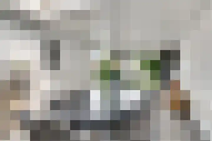 Molenheide 25 Soerendonk thumbnail 17