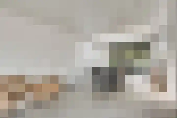 Molenheide 25 Soerendonk thumbnail 18