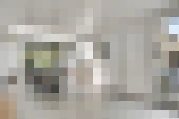 Molenheide 25 Soerendonk thumbnail 19