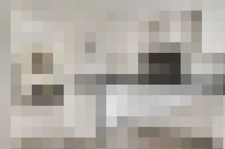 Molenheide 25 Soerendonk thumbnail 21