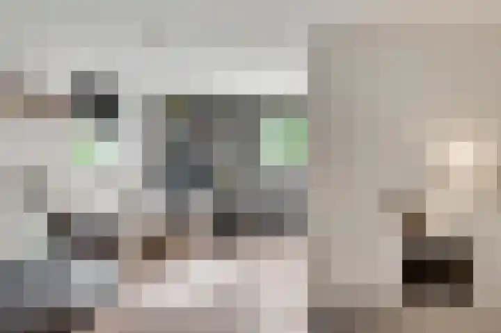 Molenheide 25 Soerendonk thumbnail 25