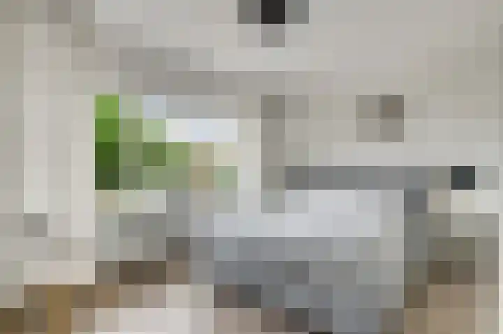 Molenheide 25 Soerendonk thumbnail 28