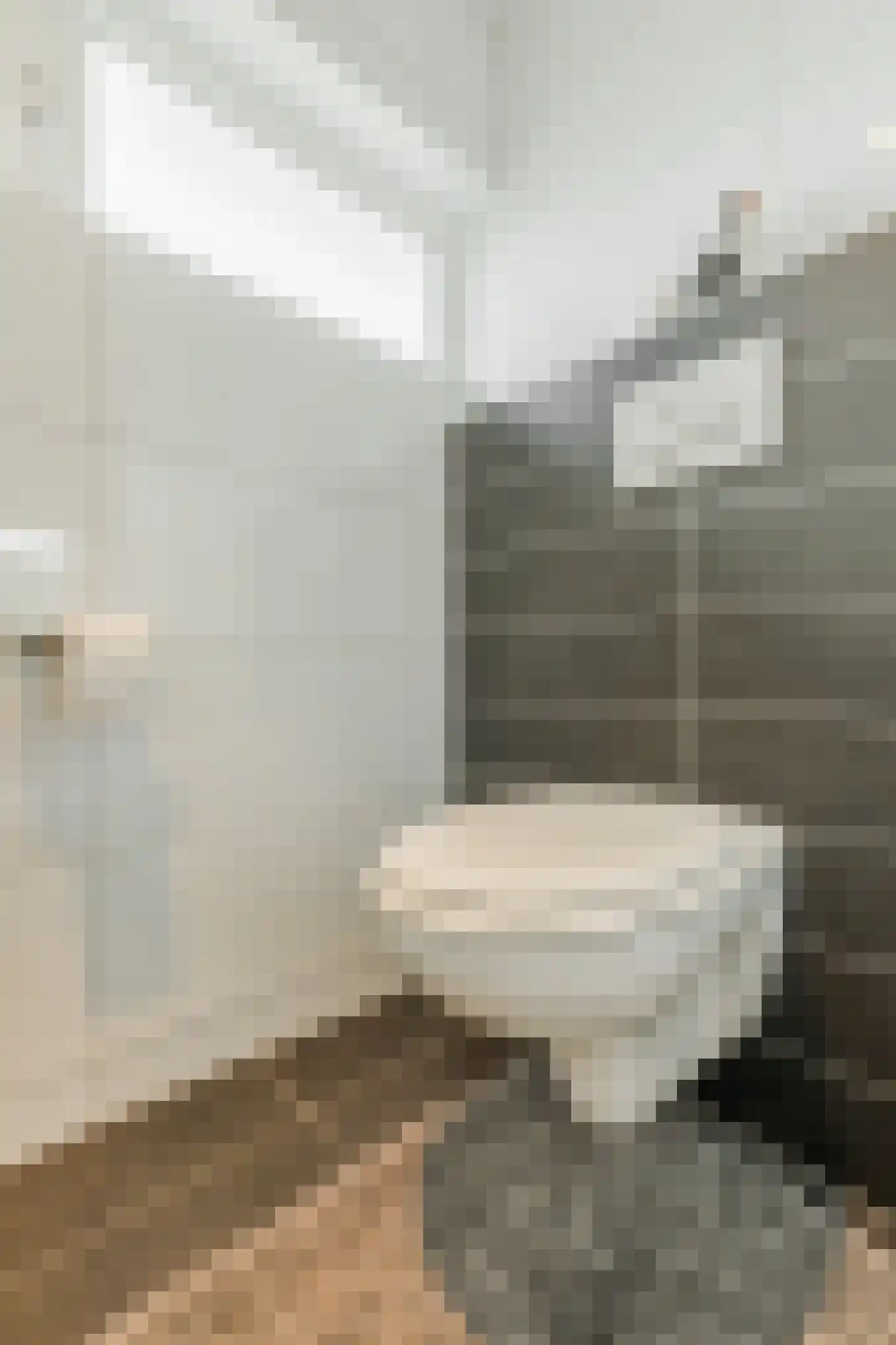 Molenheide 25 Soerendonk thumbnail 31