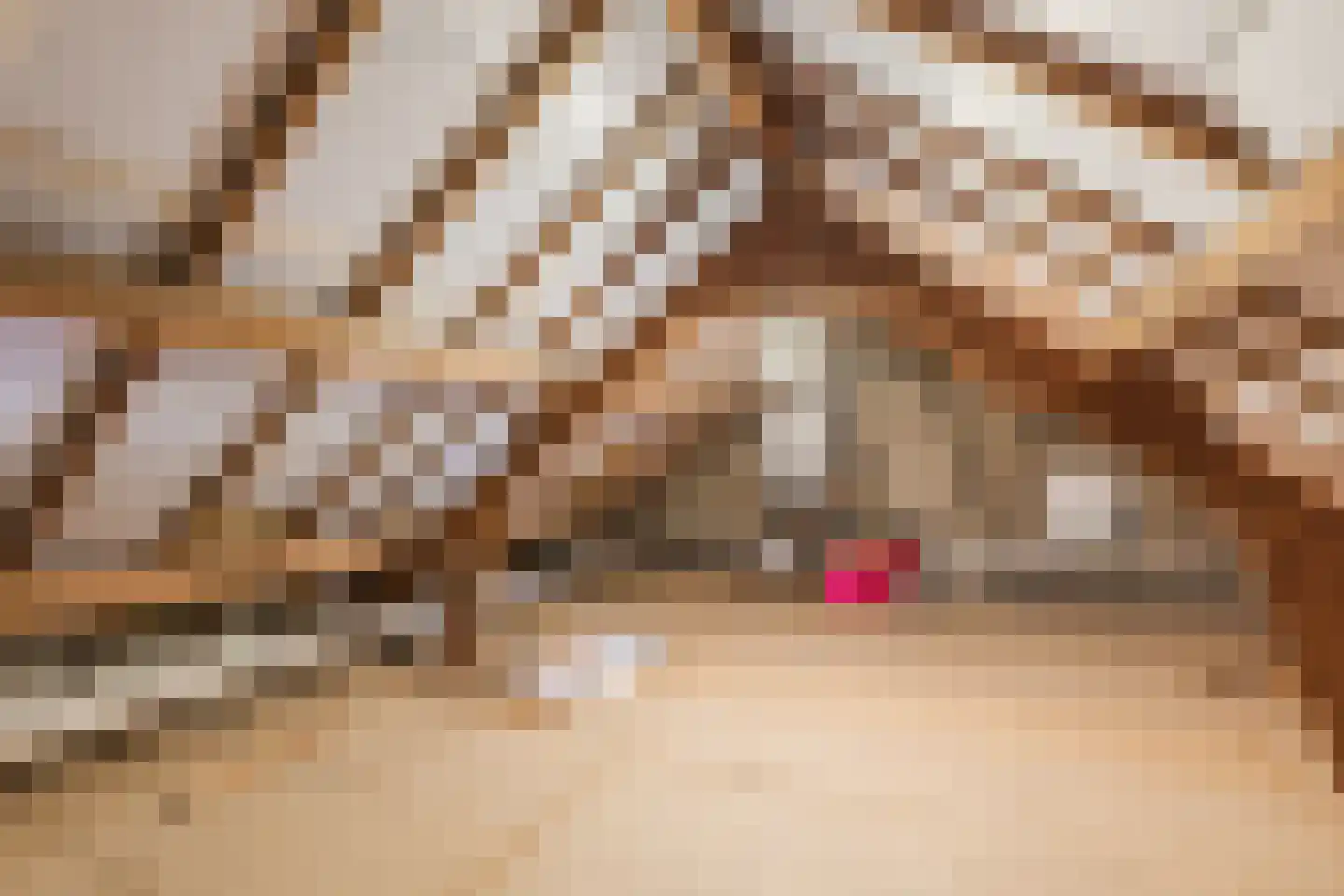 Molenheide 25 Soerendonk thumbnail 33