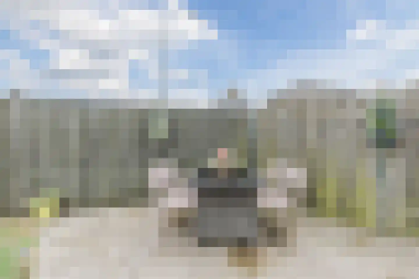 Molenheide 25 Soerendonk thumbnail 35