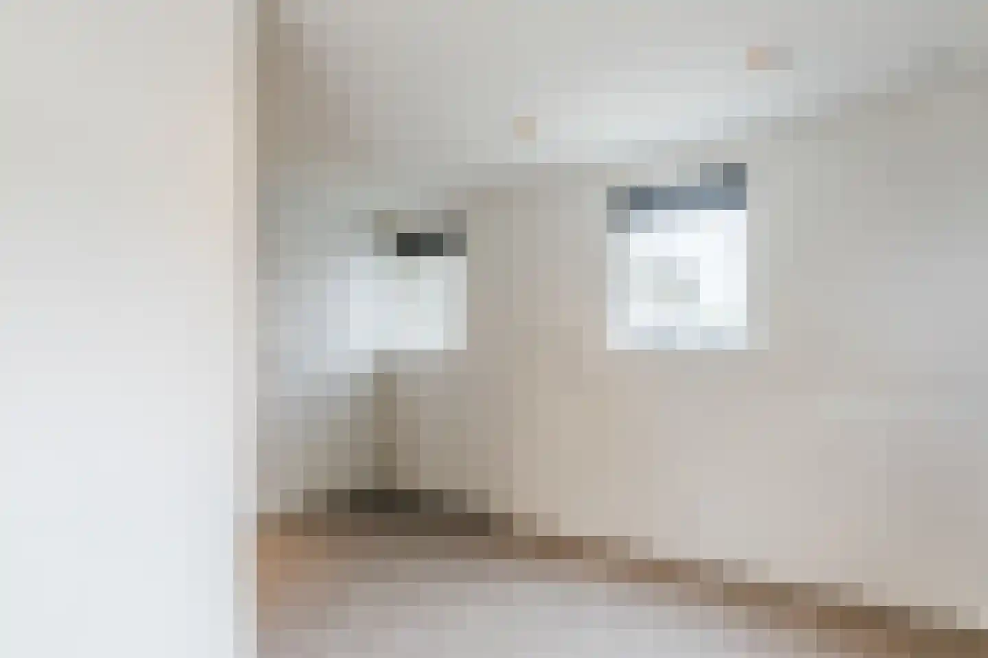 Molenheide 25 Soerendonk thumbnail 37