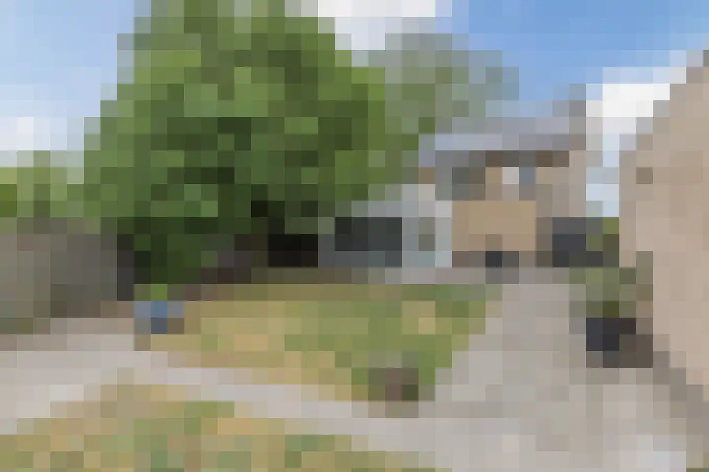 Molenheide 25 Soerendonk thumbnail 5