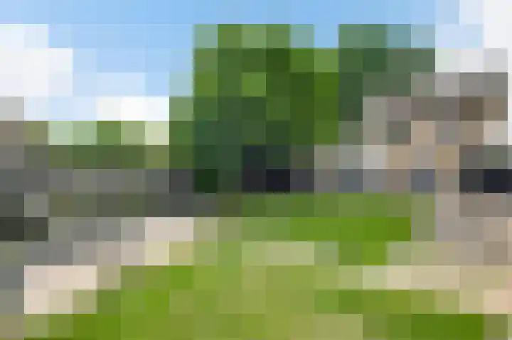 Molenheide 25 Soerendonk thumbnail 6