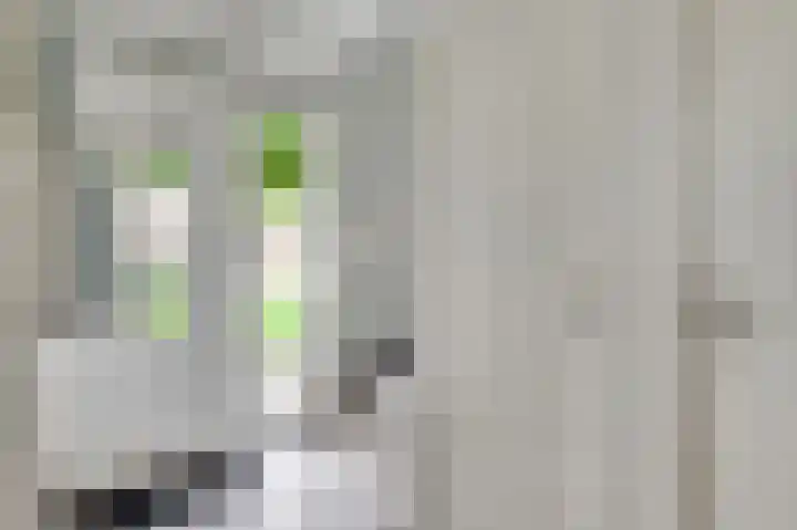 Molenheide 25 Soerendonk thumbnail 8