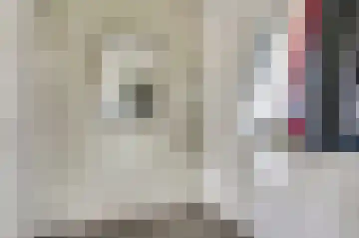 Molenheide 25 Soerendonk thumbnail 9