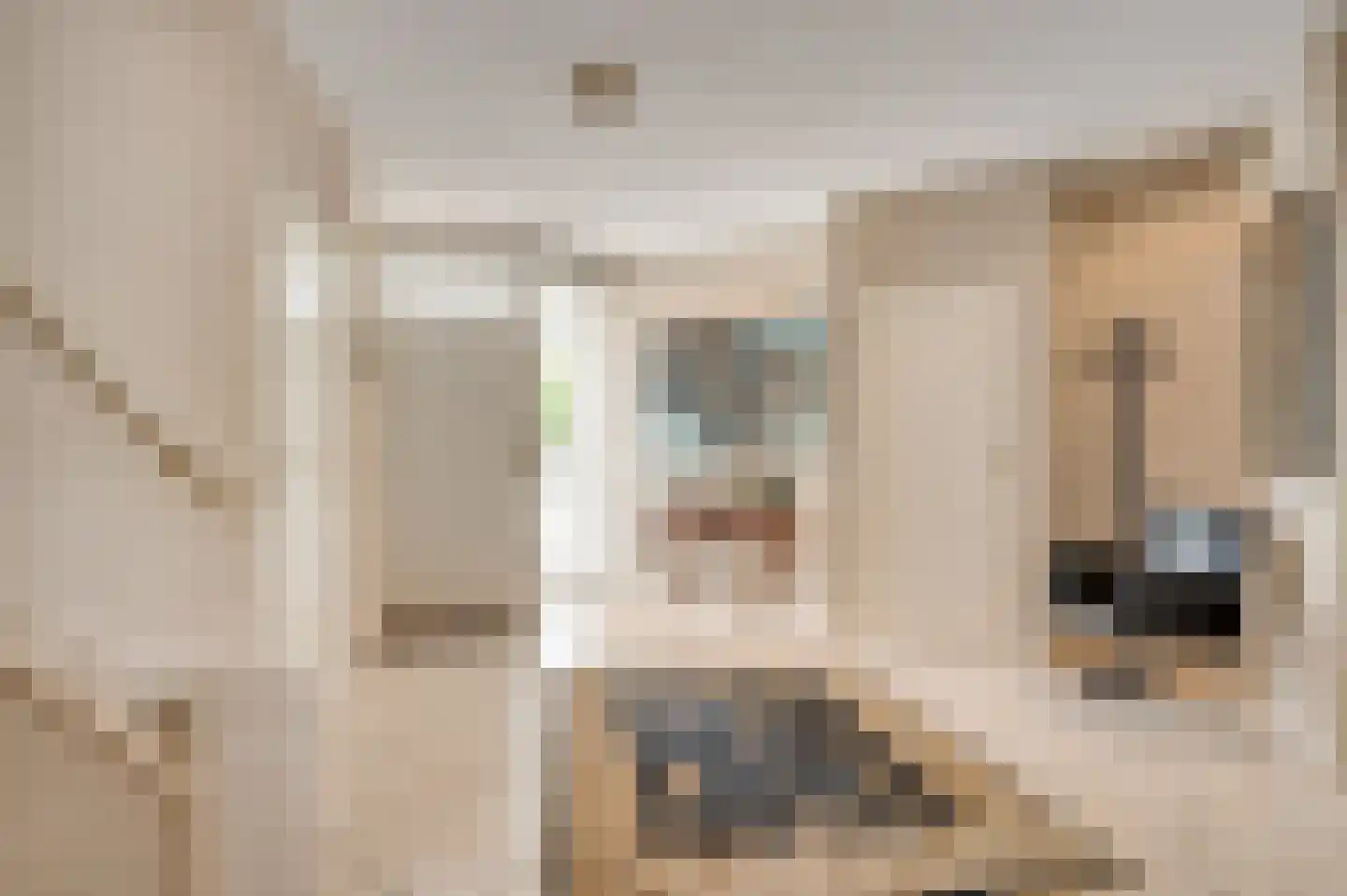 Molenheide 34 Soerendonk thumbnail 10