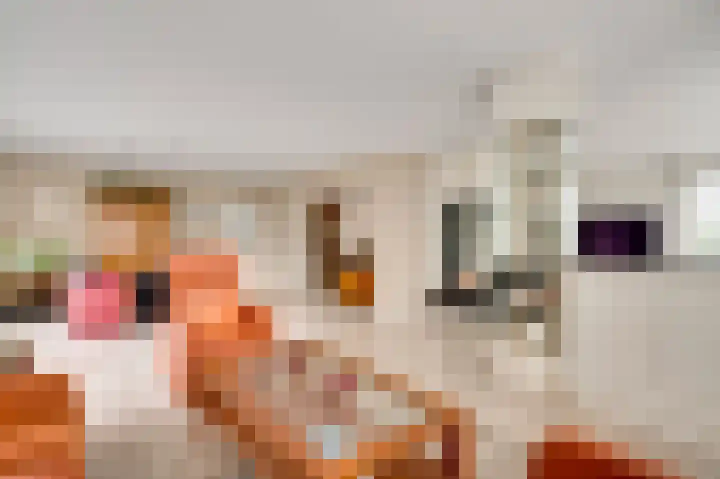 Molenheide 34 Soerendonk thumbnail 13