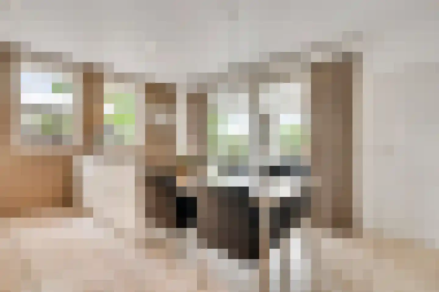 Molenheide 34 Soerendonk thumbnail 16