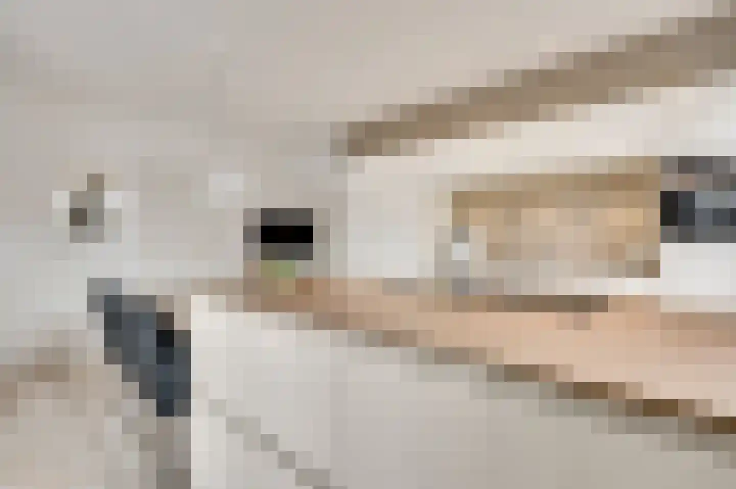Molenheide 34 Soerendonk thumbnail 18