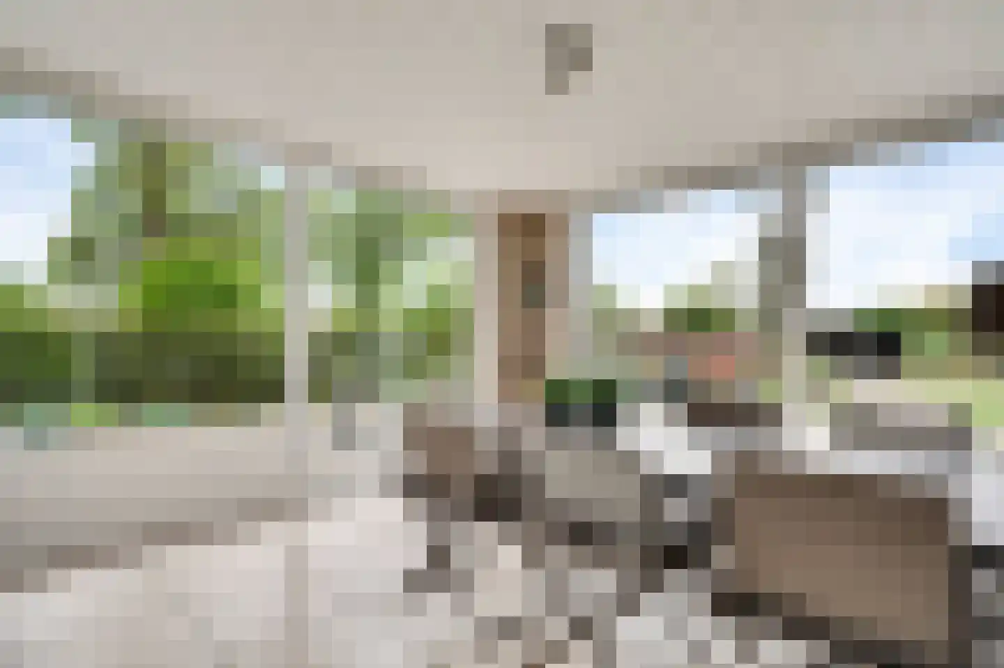 Molenheide 34 Soerendonk thumbnail 21