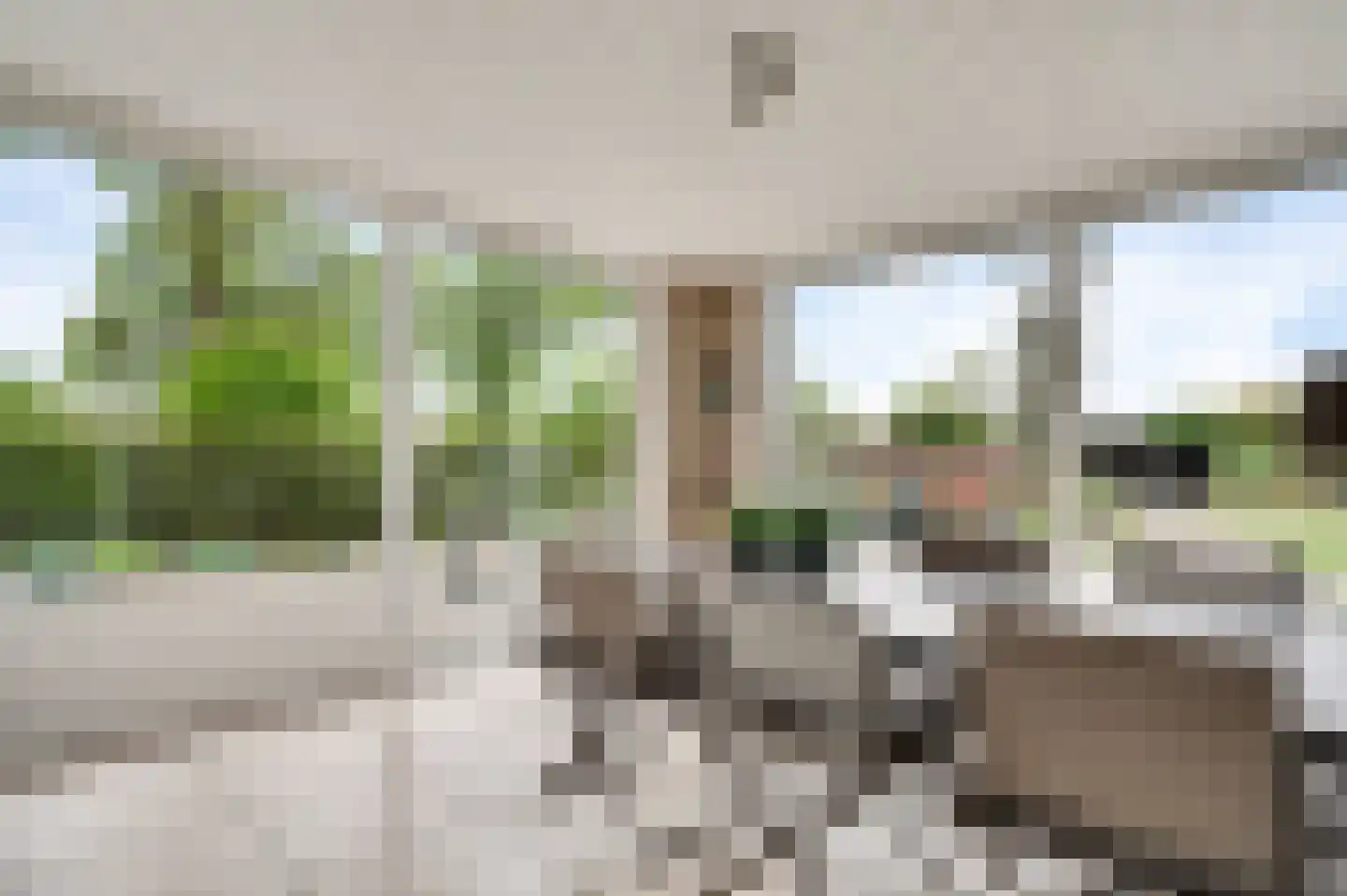 Molenheide 34 Soerendonk thumbnail 22