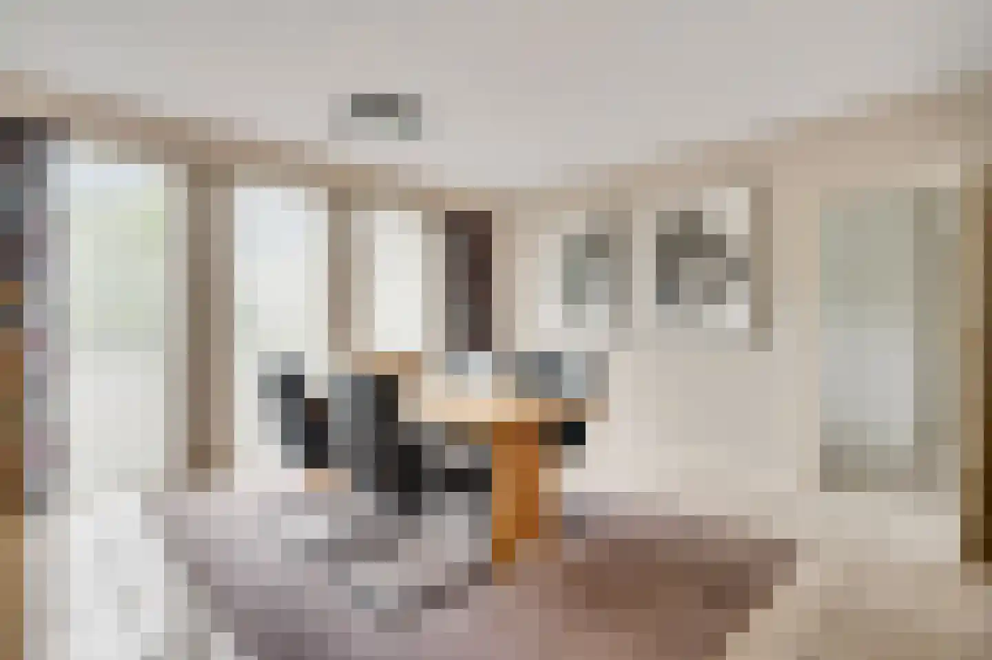 Molenheide 34 Soerendonk thumbnail 26