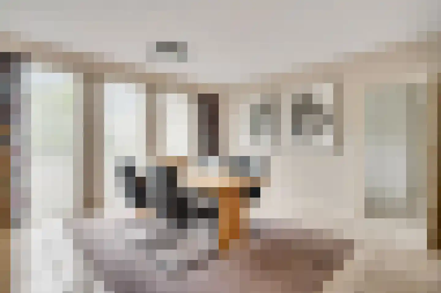 Molenheide 34 Soerendonk thumbnail 27