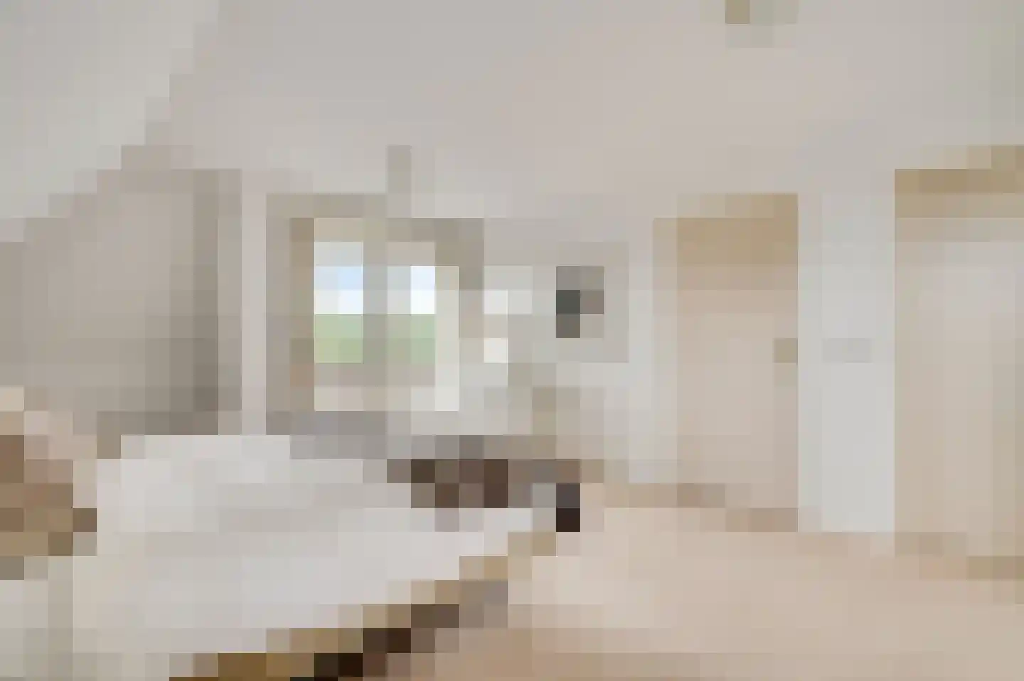 Molenheide 34 Soerendonk thumbnail 31