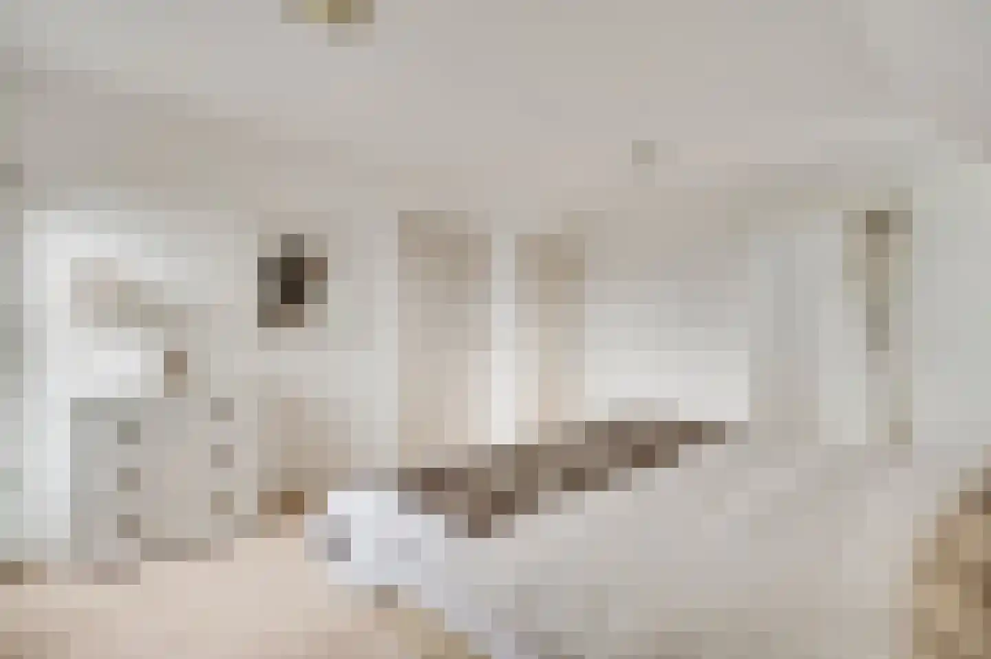 Molenheide 34 Soerendonk thumbnail 32