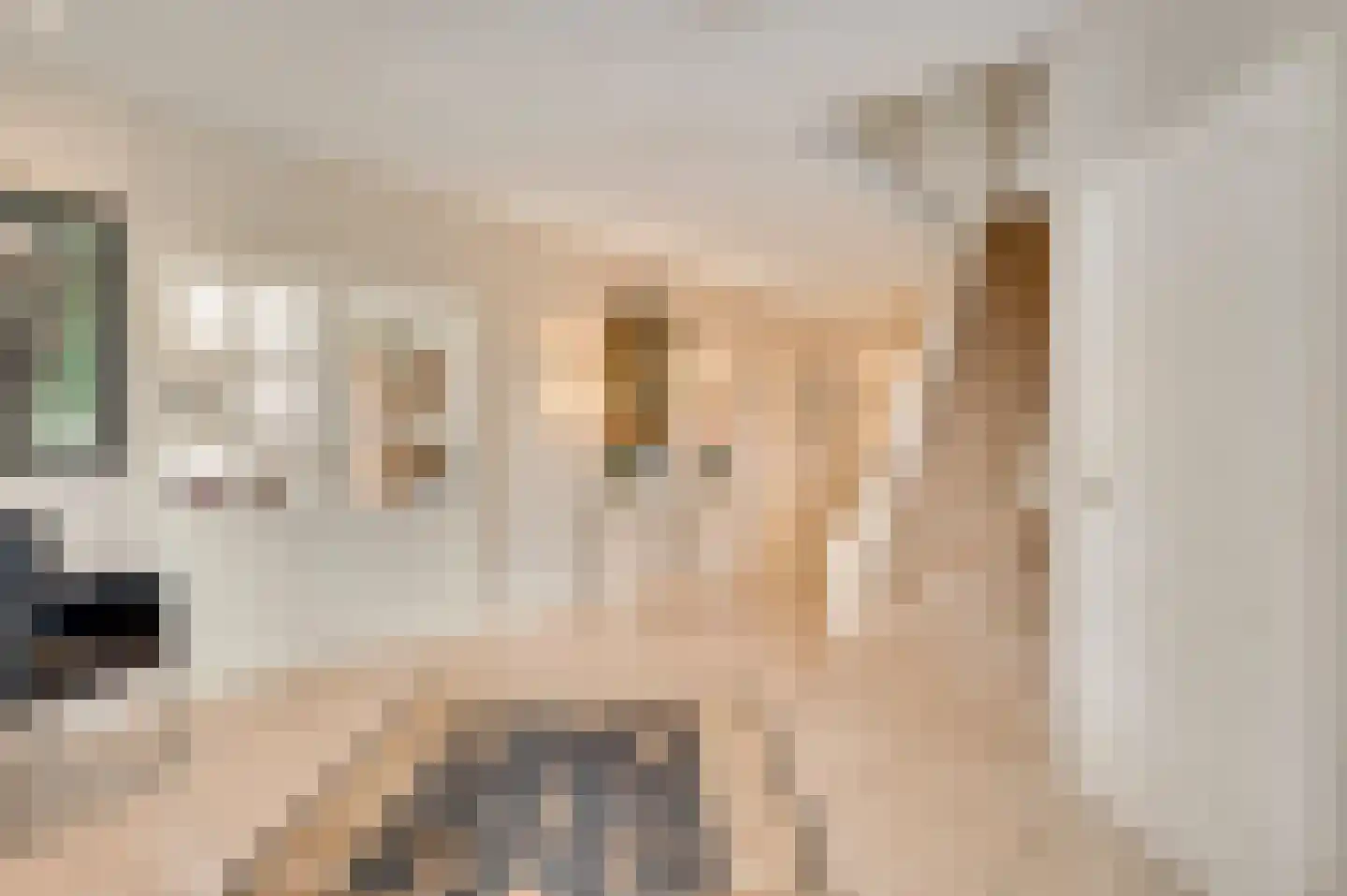 Molenheide 34 Soerendonk thumbnail 9