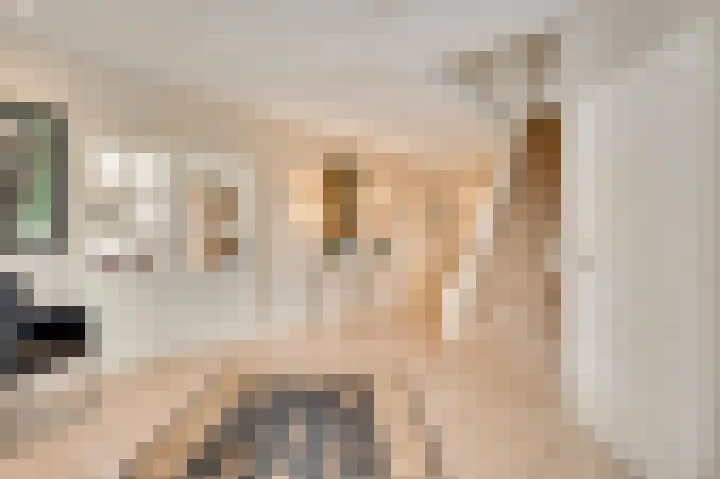 Molenheide 34 Soerendonk thumbnail 9