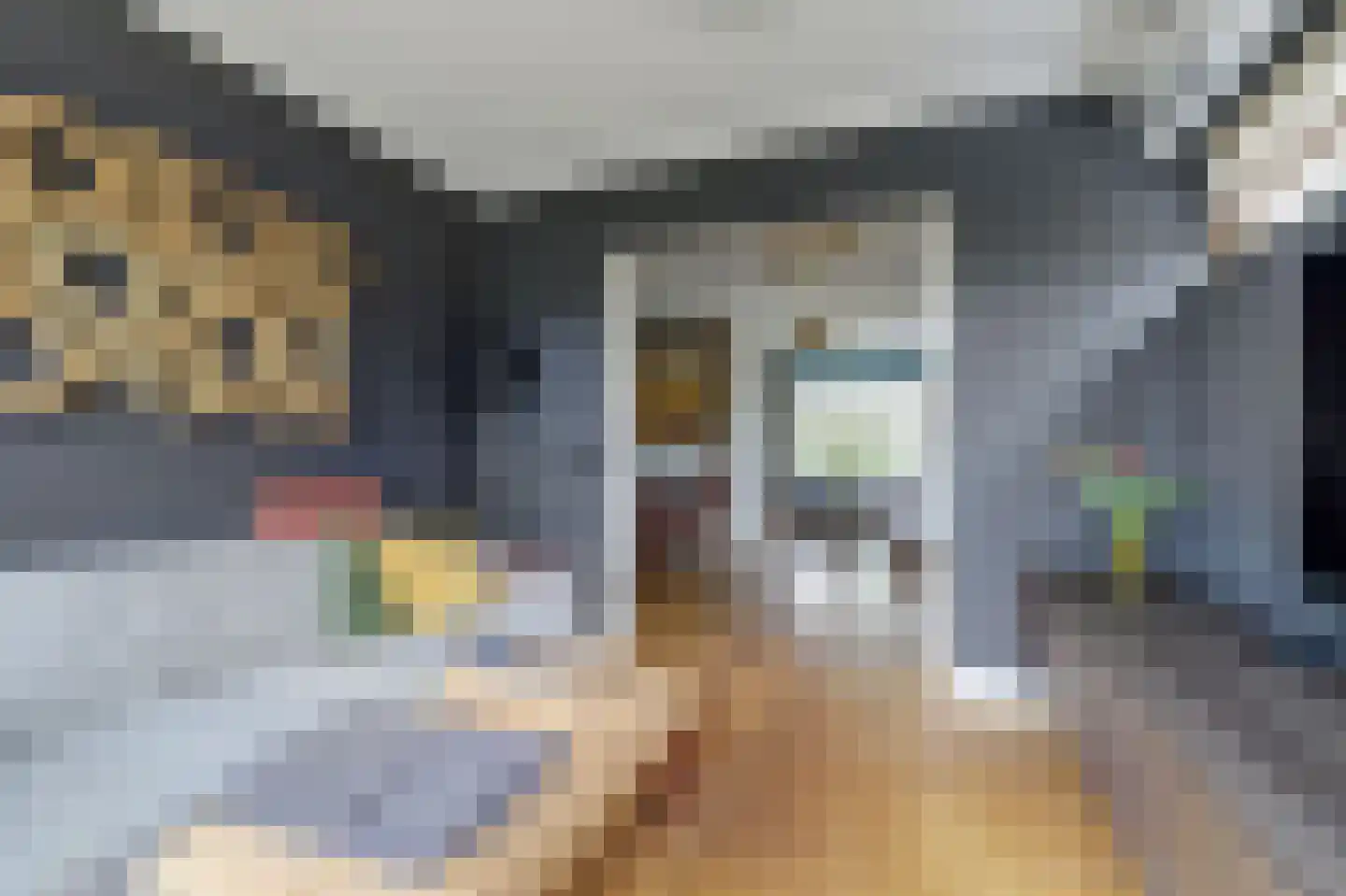 Molenheideweg 8 Beugen thumbnail 19