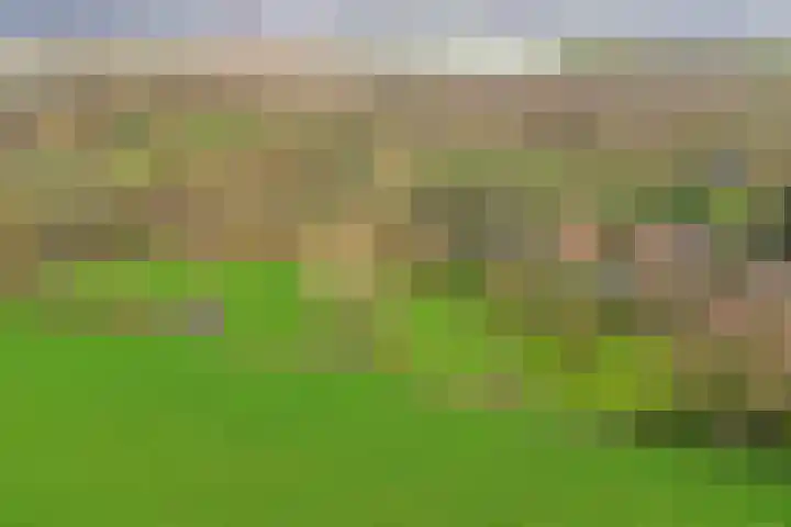 Molenheideweg 8 Beugen thumbnail 4