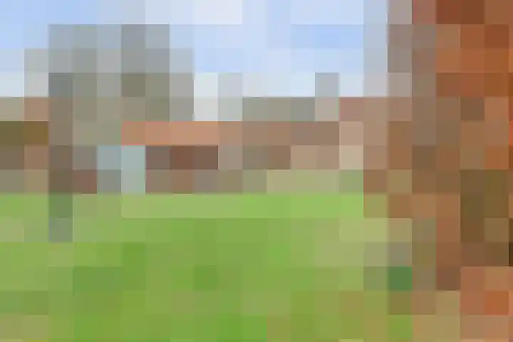 Molenheideweg 8 Beugen thumbnail 42