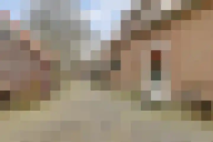 Molenheideweg 8 Beugen thumbnail 44