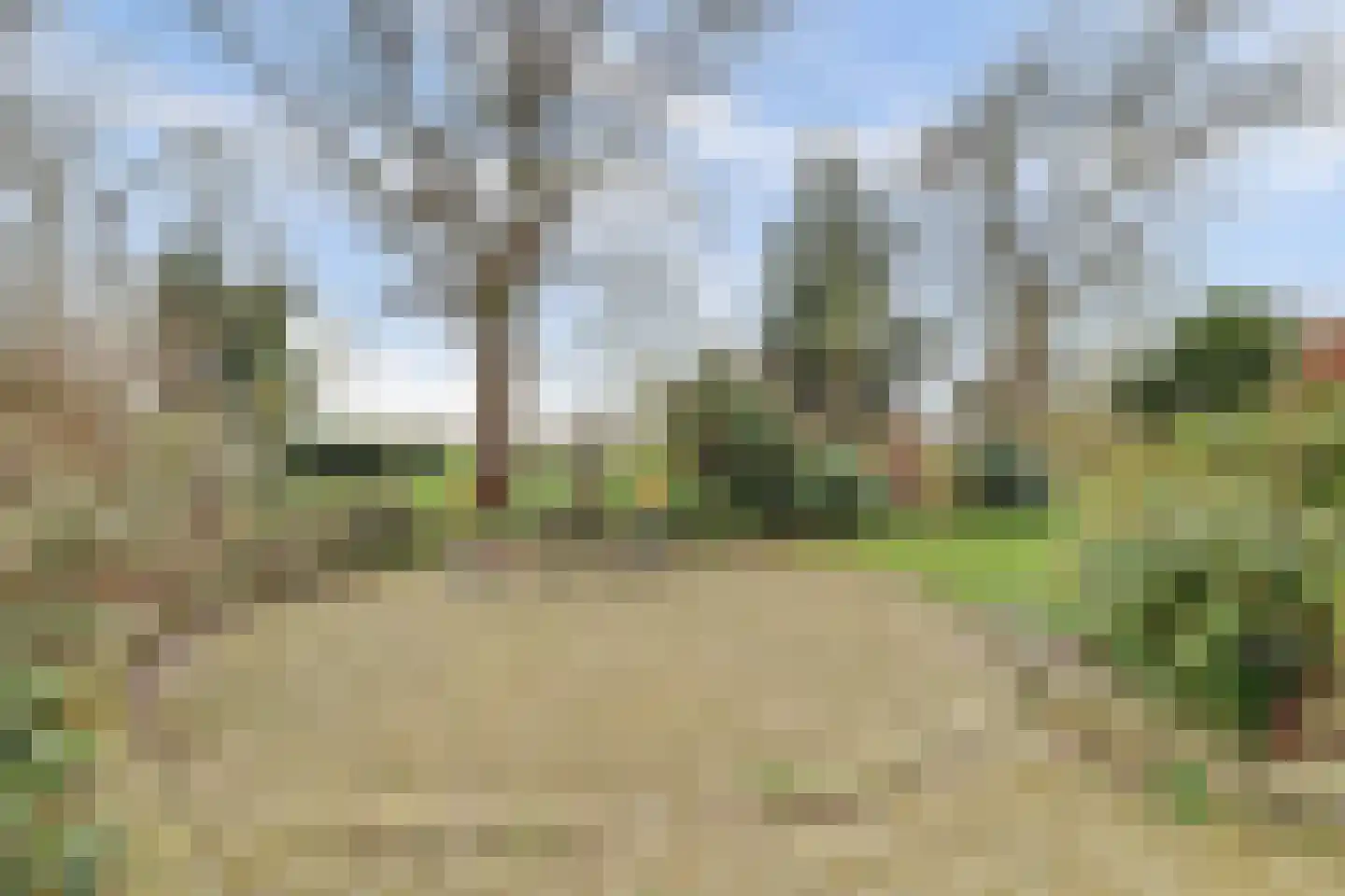 Molenheideweg 8 Beugen thumbnail 47