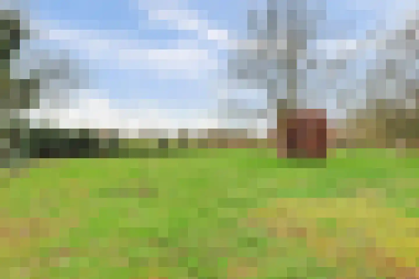 Molenheideweg 8 Beugen thumbnail 48