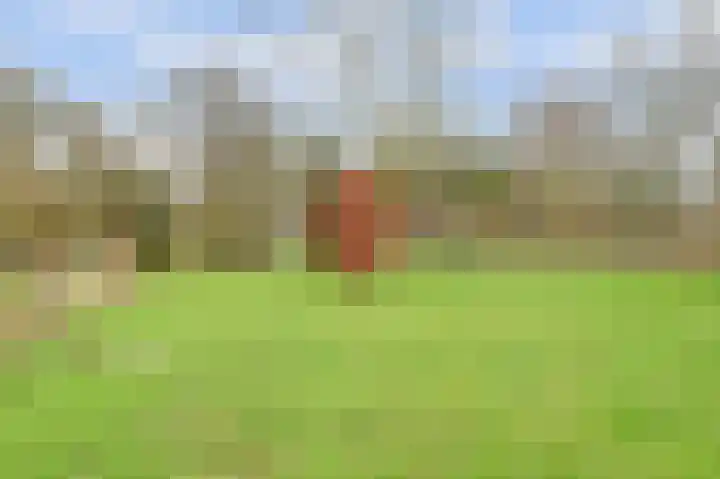 Molenheideweg 8 Beugen thumbnail 49