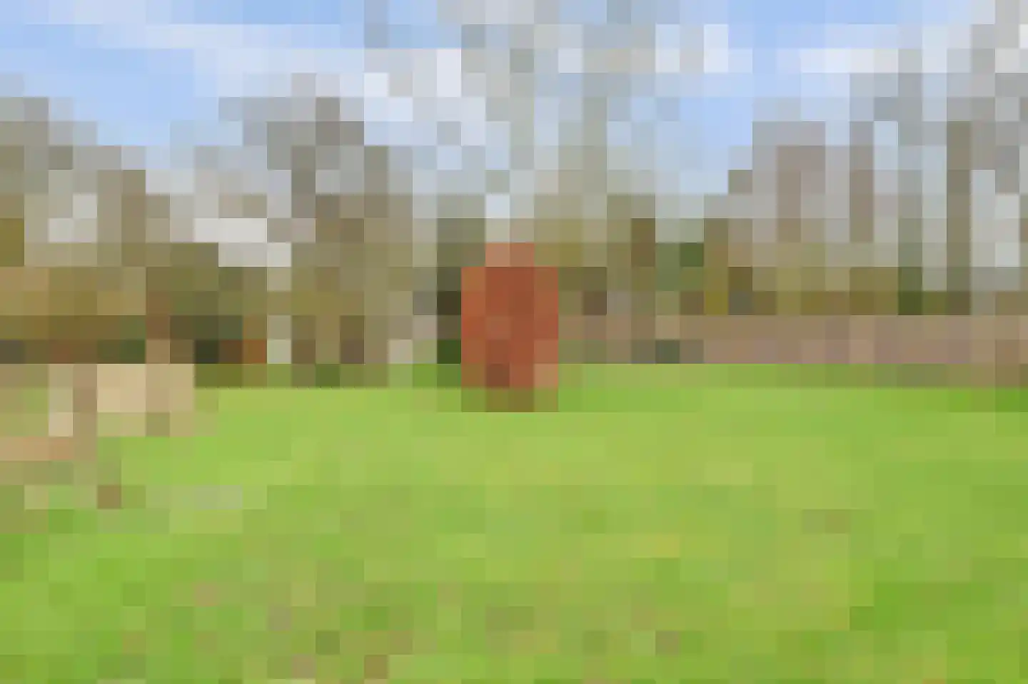 Molenheideweg 8 Beugen thumbnail 49