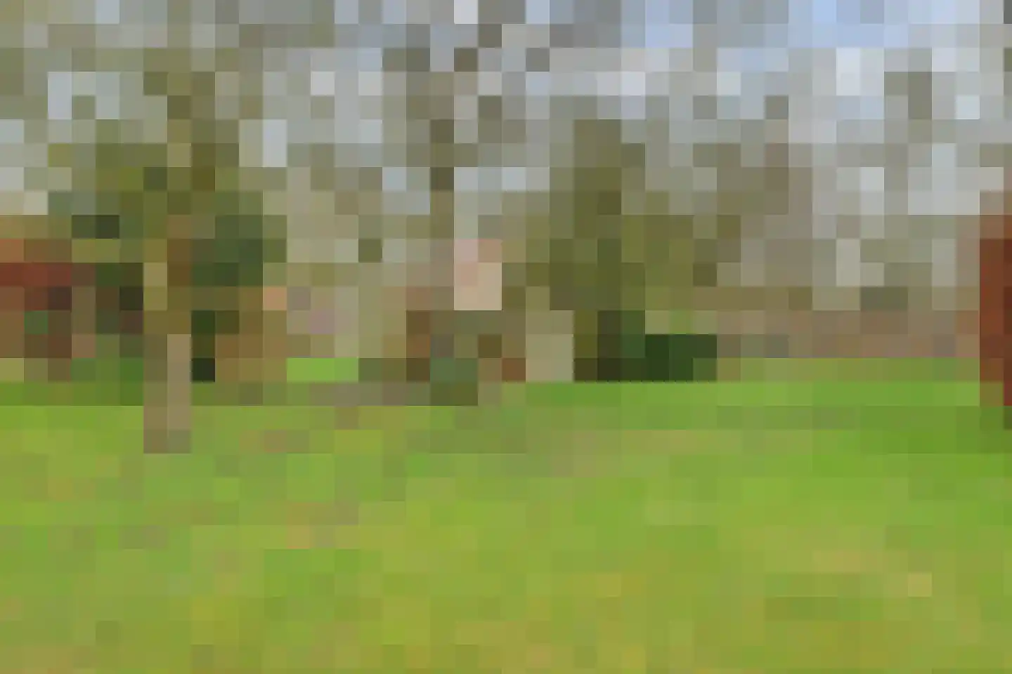 Molenheideweg 8 Beugen thumbnail 51