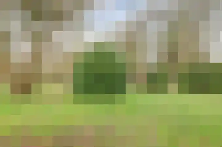 Molenheideweg 8 Beugen thumbnail 53
