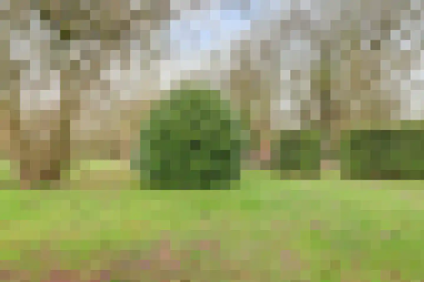 Molenheideweg 8 Beugen thumbnail 53