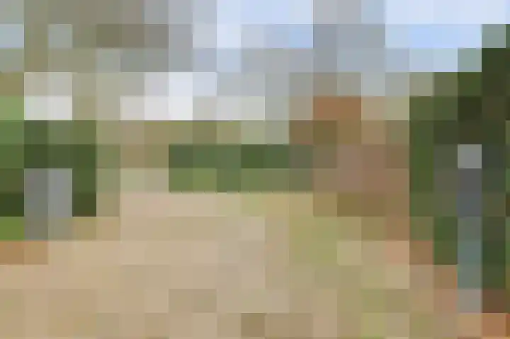 Molenheideweg 8 Beugen thumbnail 54