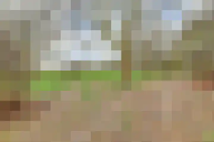 Molenheideweg 8 Beugen thumbnail 55