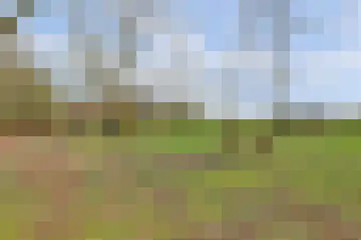 Molenheideweg 8 Beugen thumbnail 56