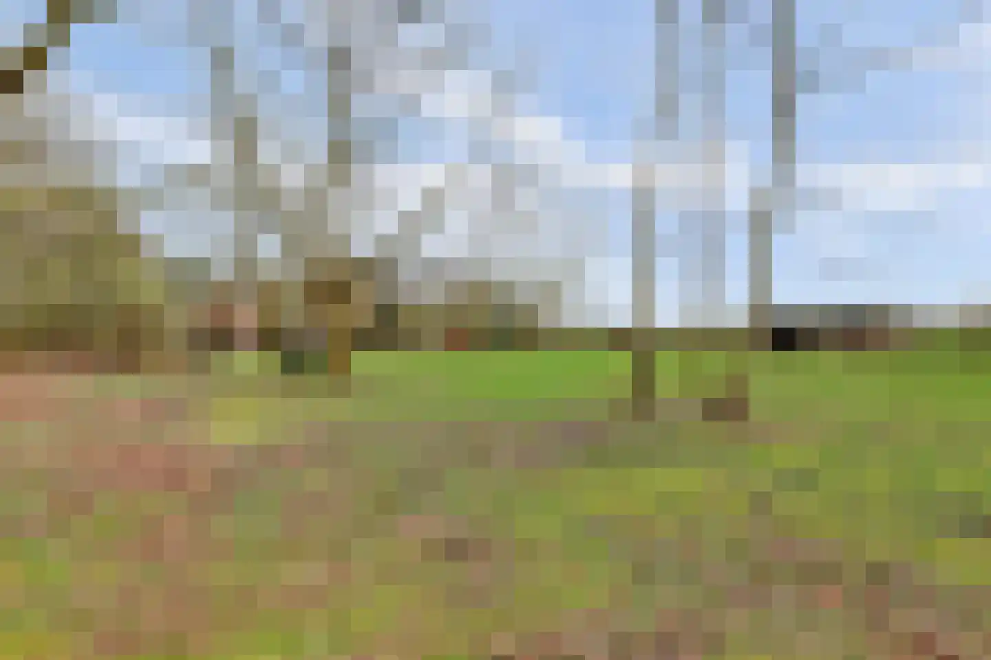 Molenheideweg 8 Beugen thumbnail 56