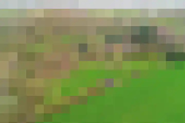 Molenheideweg 8 Beugen thumbnail 58