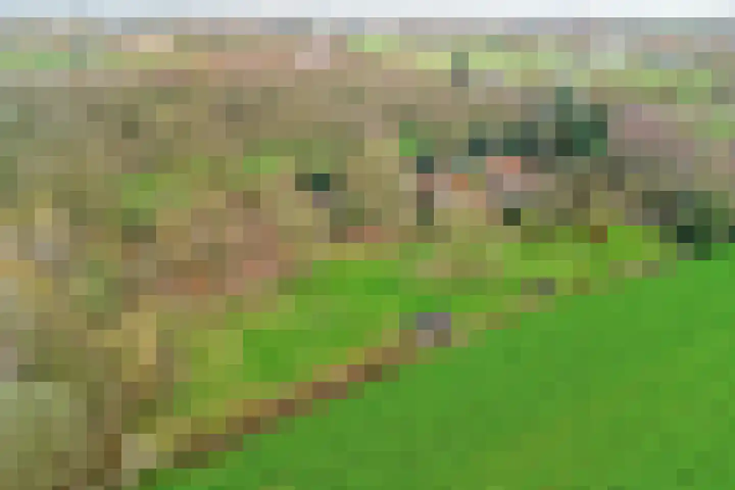 Molenheideweg 8 Beugen thumbnail 58