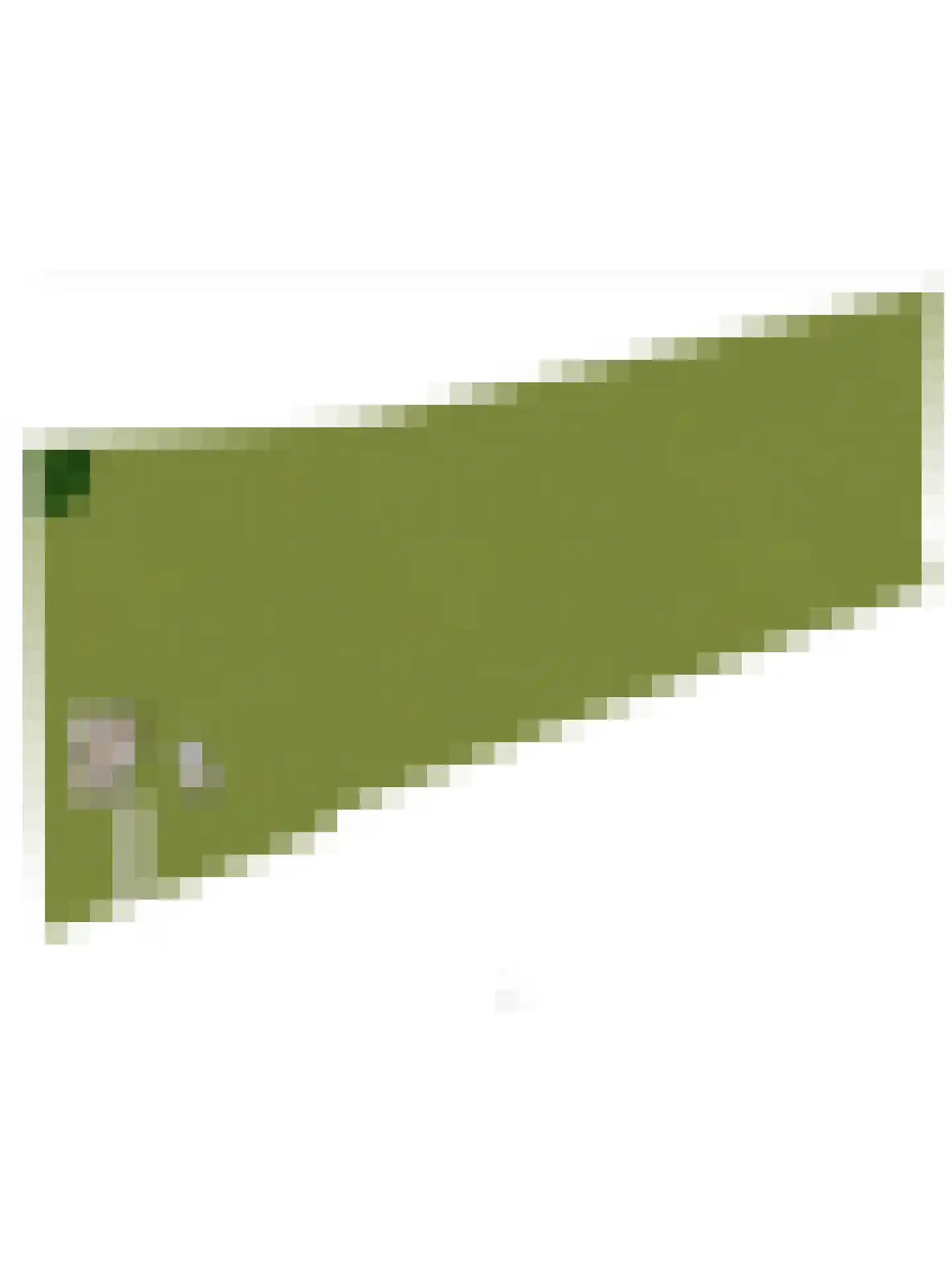 Molenheideweg 8 Beugen thumbnail 70
