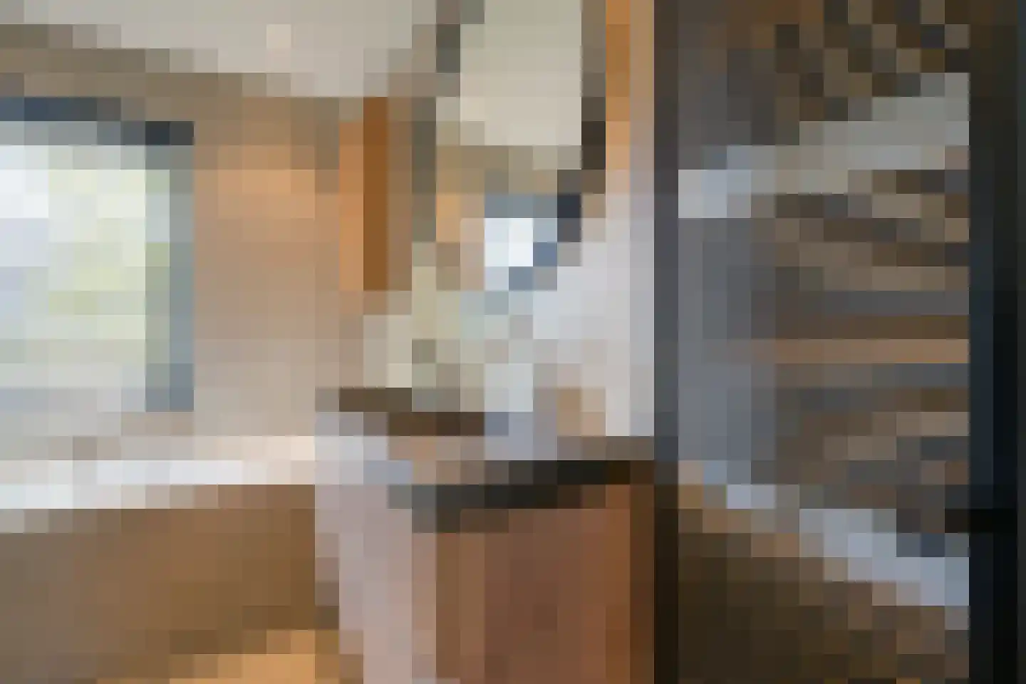 Molenheidseweg 12 Mill thumbnail 12
