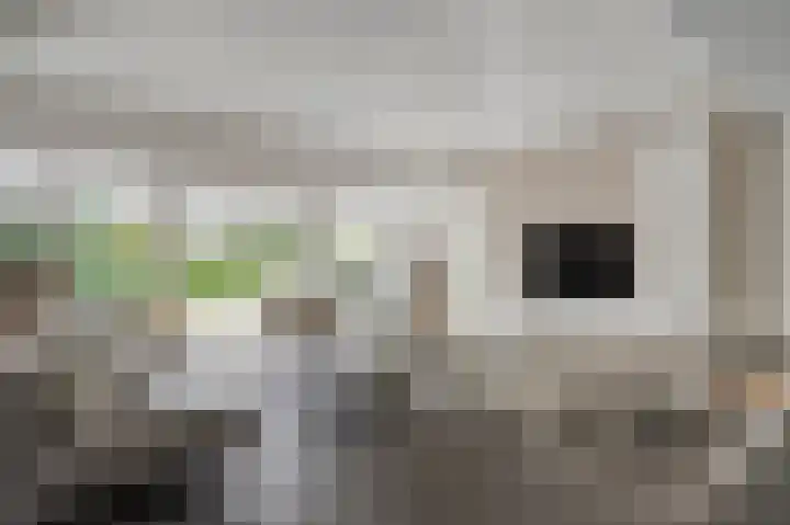 Molenheidseweg 12 Mill thumbnail 13